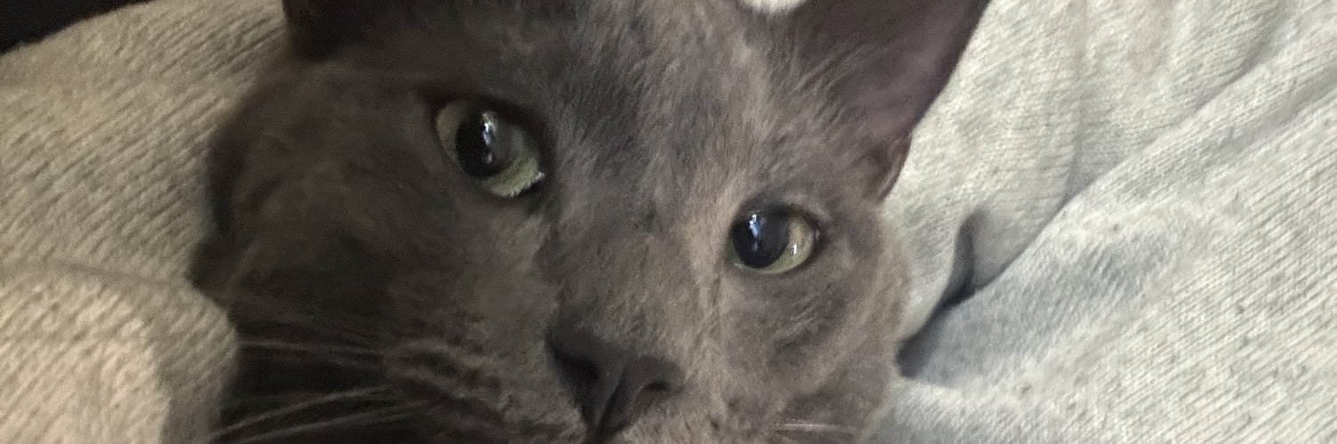 JuanEstradaInt's profile banner image