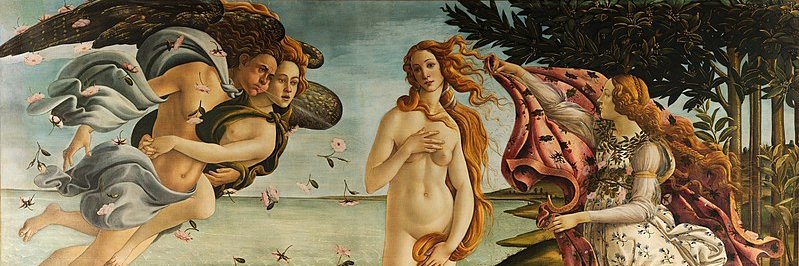 🌊FERNANDA🌊 banner