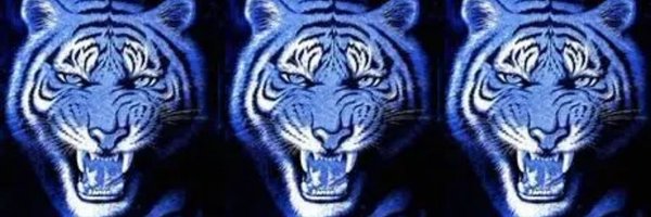 615TSU_Tigers Profile Banner