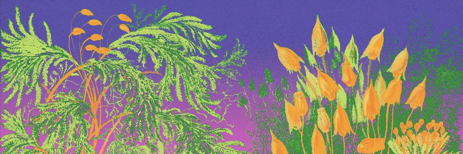 sammyadams47's profile banner image