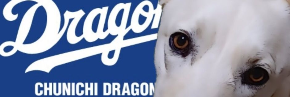 ヨコタワール・ネルノガスキー banner