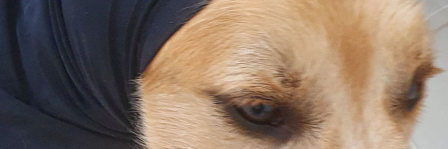 𝐥𝐞𝐨 ✠ ☭ banner