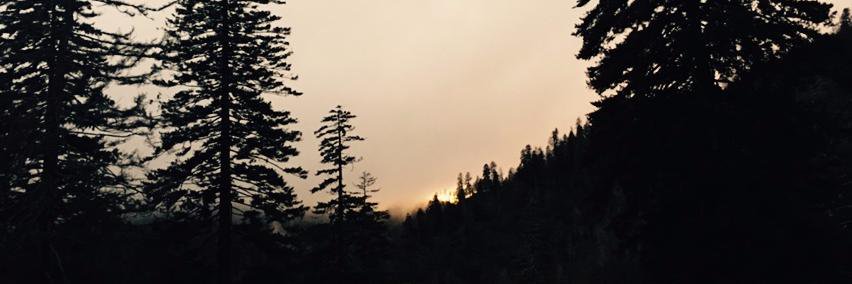 NicSibert's profile banner image