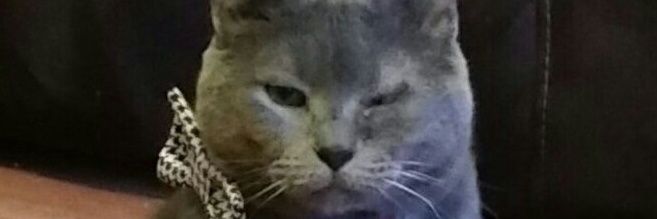 unuthryear's profile banner image