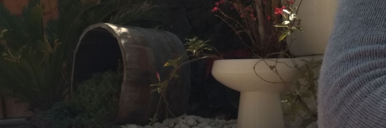 rafitaginger's profile banner image
