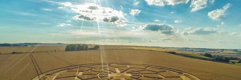 Steele's Bootblack banner