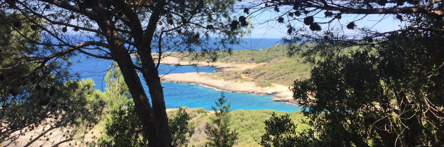 Fred Bullock 🇬🇧🇮🇹🇮🇪🇪🇺#RejoinEU #FBPE banner