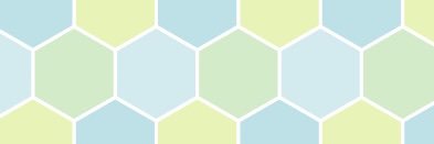 PPP banner