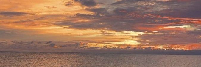 Senje🌞 banner
