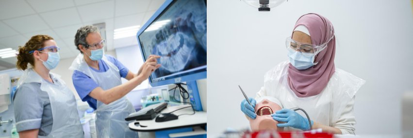 Paediatric Dentistry at Leeds's banner