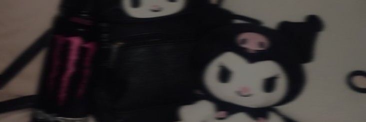 ksvverse's profile banner image
