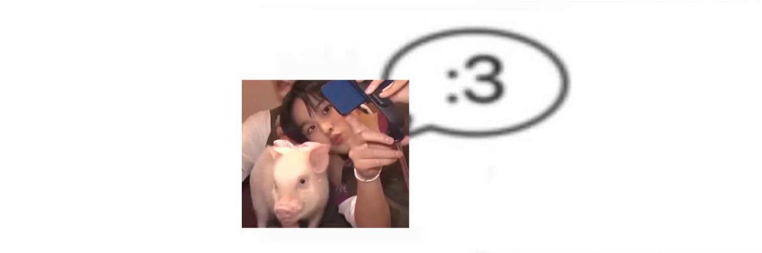 pigchuz's profile banner image