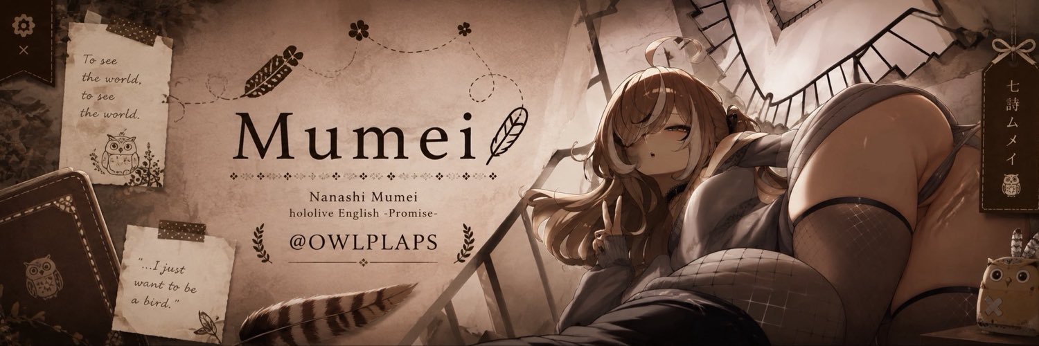 OWLPLAPS's profile banner image