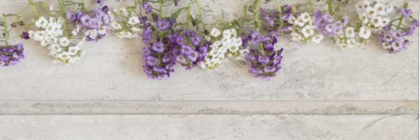 Danni_cuicui's profile banner image