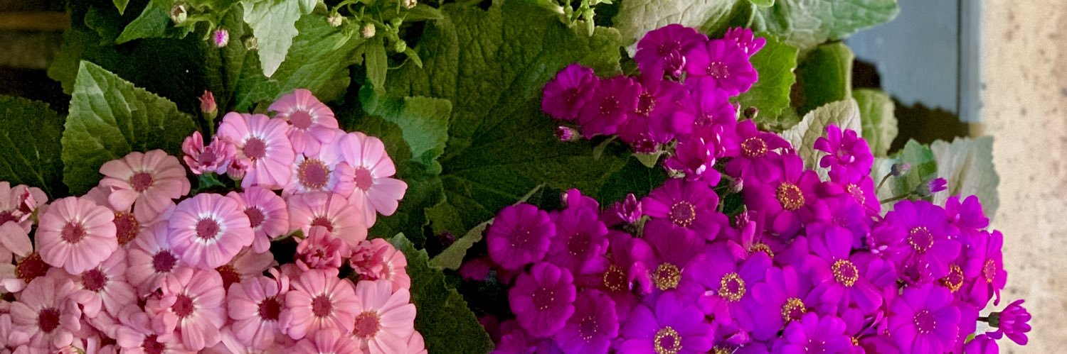 Neg0066's profile banner image
