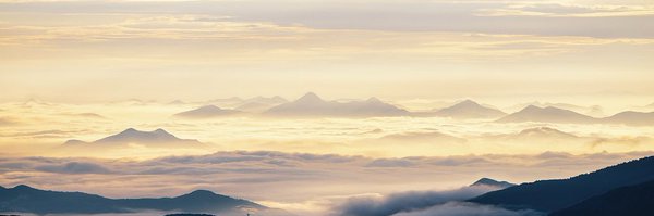 WangLutongMFA Profile Banner