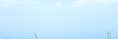 PeterBertie1's profile banner image