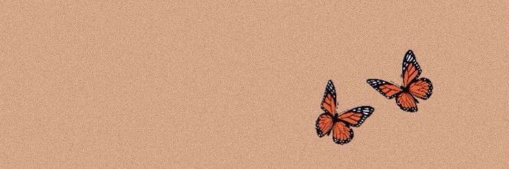 Prerna 🦋's banner
