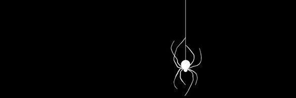 fantasma banner