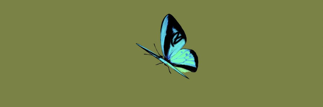 HWGALINA's profile banner image