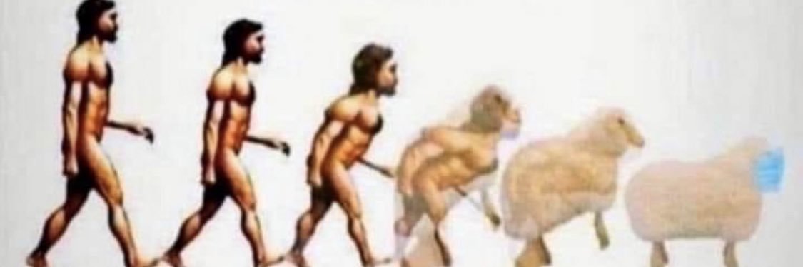 Notafollower14's profile banner image
