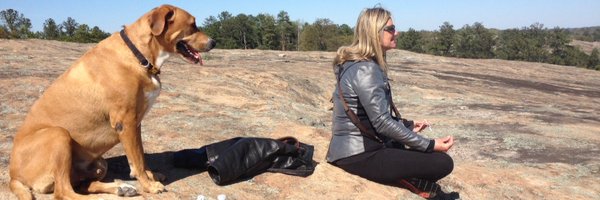 pjkorman Profile Banner