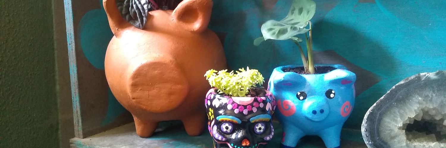 lapeluz_a's profile banner image