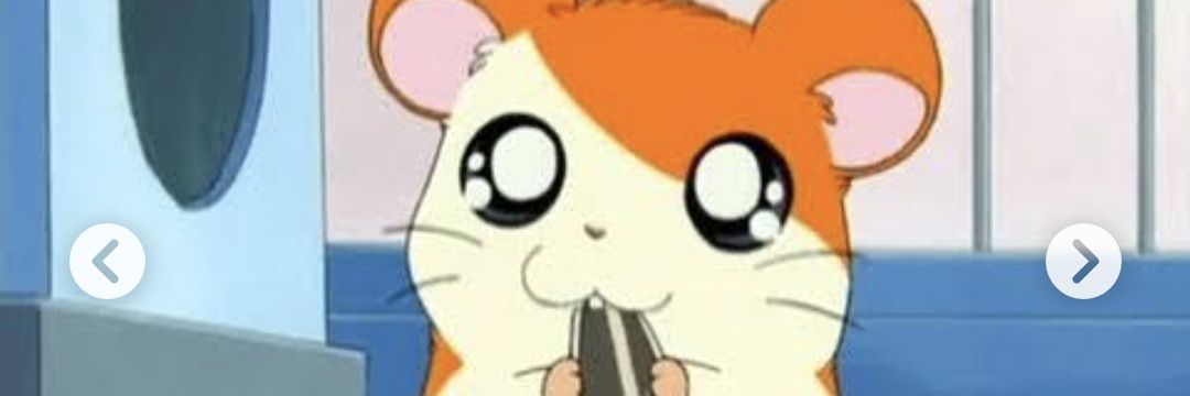 2000hamtaro's profile banner image