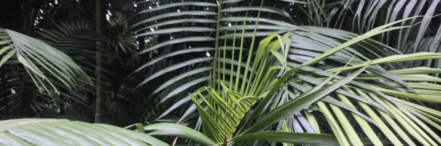 itscumbersome's profile banner image