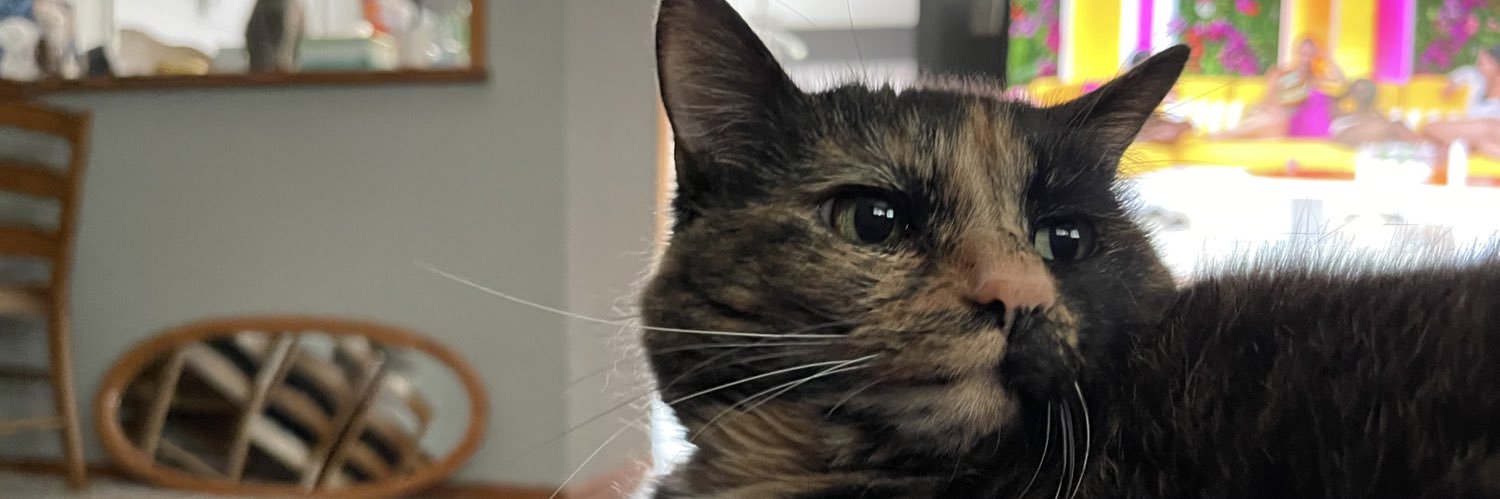 itwasntme96's profile banner image