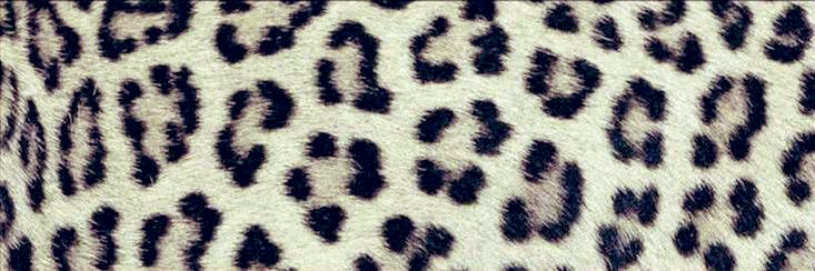 vaisjelly 🍮 banner