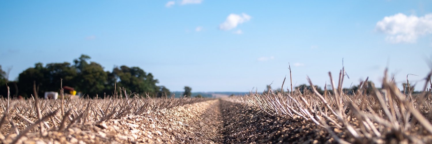 Branston Seed banner