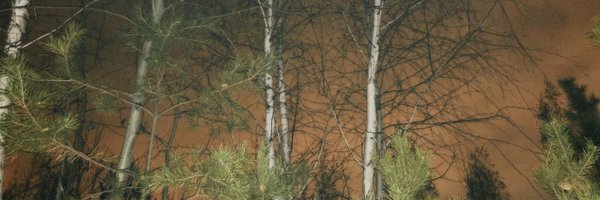 SashaMakesMagic Profile Banner