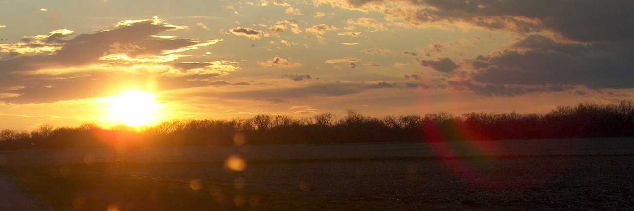aharpham's profile banner image