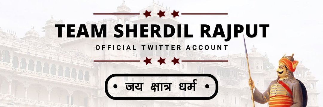 Team Sherdil banner