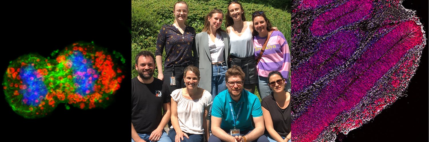 Marlen Knobloch banner