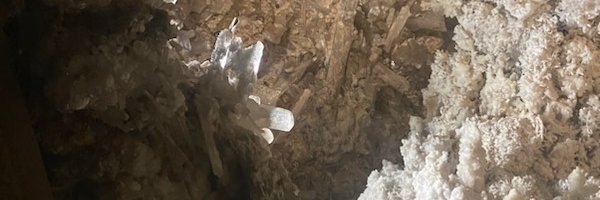 Noneya Business banner