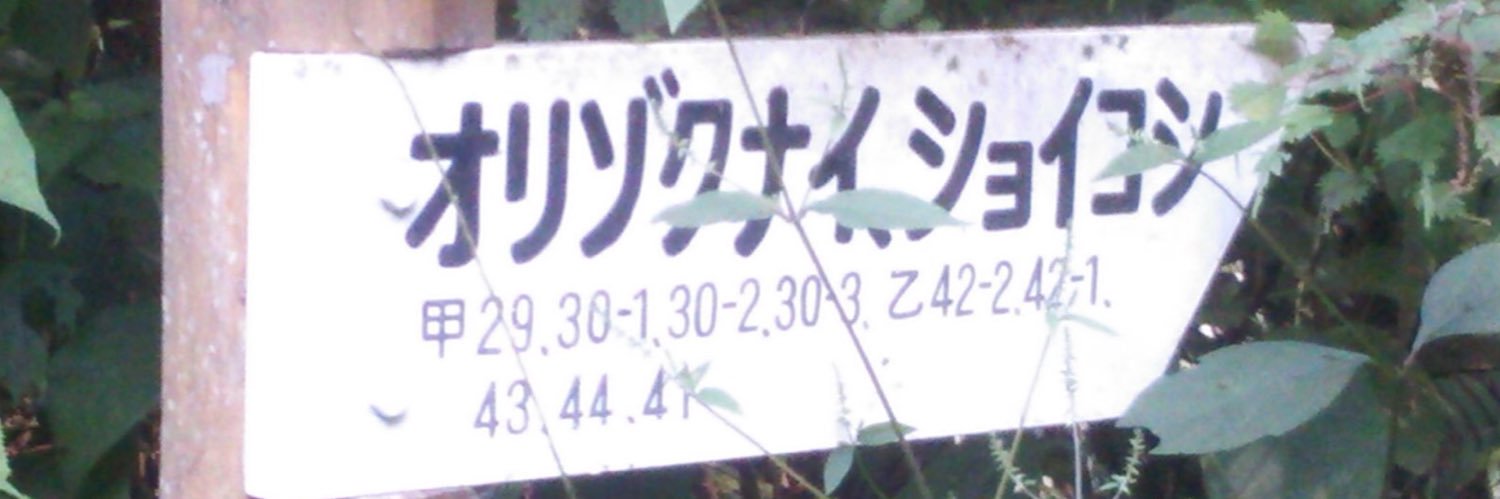 SF_1108's profile banner image