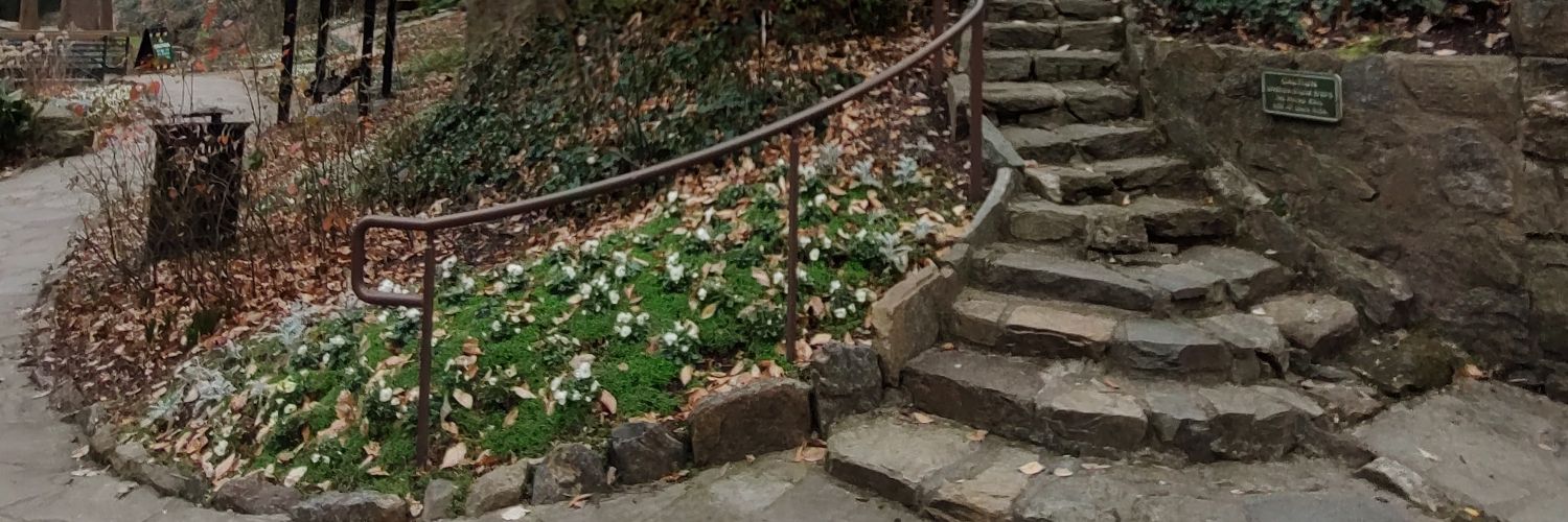 AndyBlock13's profile banner image
