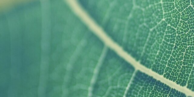 patorivasm's profile banner image
