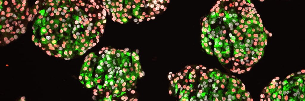 Erica Marquez banner