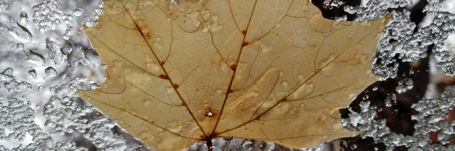 Dancing dryad banner