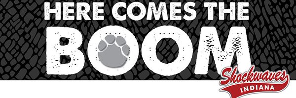 ShockwavesDuell Profile Banner