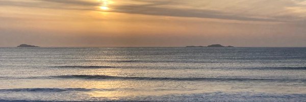 DrElizabethMac1 Profile Banner