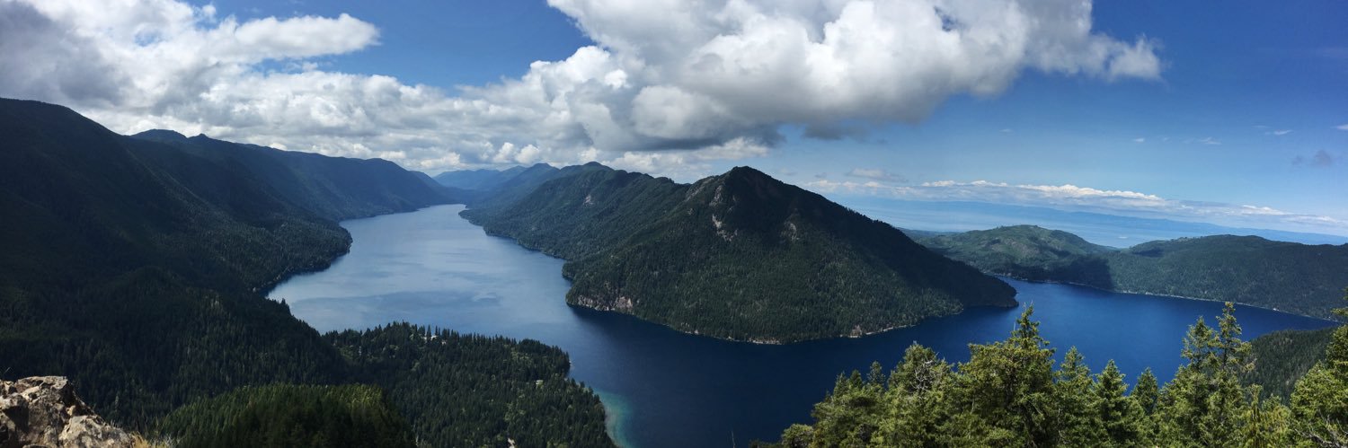 Maya Szydlowski Luke banner