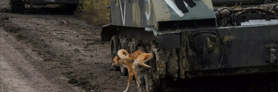 Easy Cheese Capital banner