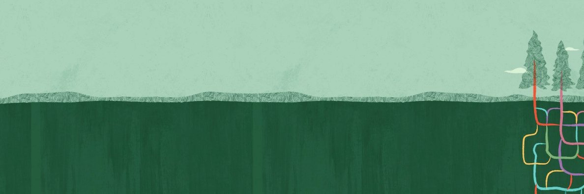 Oracle_LiveLabs's profile banner image