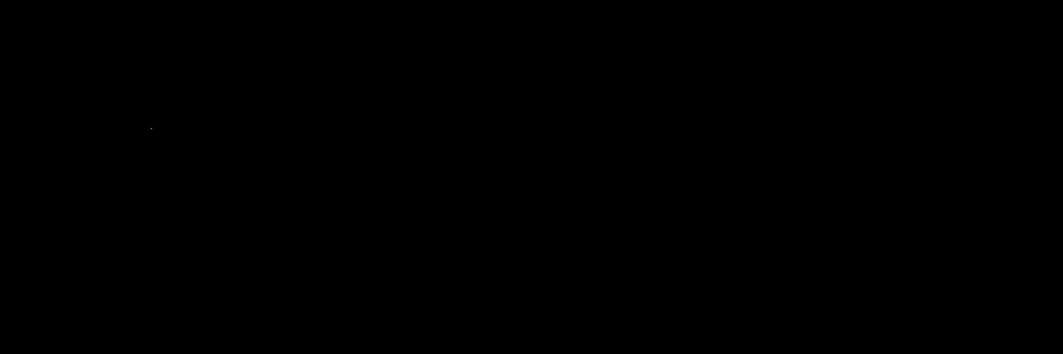 USA WHALES 🇺🇸🐳 banner