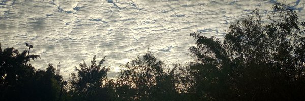 advaithsurya Profile Banner