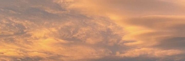 ^ banner